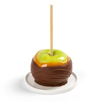 Chocolate Covered Caramel Apple