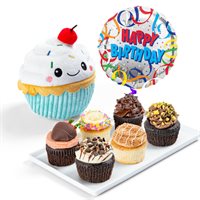 Charli Cupcakes Birthday Gift Set