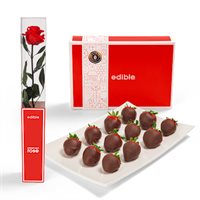 Preserved Rose  Dipped Berry Gift Set