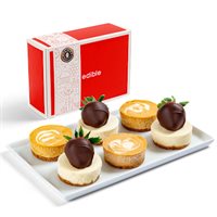 Pumpkin Cheesecake  Berry Cheesecake Box