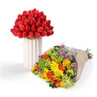 Edible Elegance Bundle