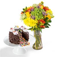 Full of Fun Cake Bouquet Gift Set