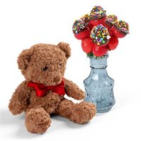 Teddy Tasty Treats Bundle