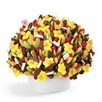 Field Of Daisies Chocolate Covered Large Fruit Bouquet