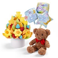 Baby Boy Gift Bundle with Balloons