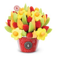 Delicious Fruit Design