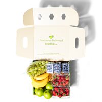Simple Fruits Snack Box