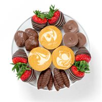 Treats  Pumpkin Cheesecake Platter