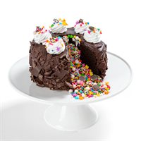 Full of Fun Chocolate Cake