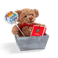Bobbis Birthday Crate Gift Set