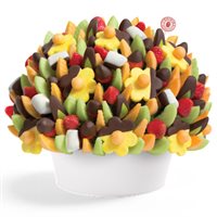 Delicious Party Chocolate Covered Fruit Bouquet