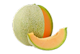 cantaloupe